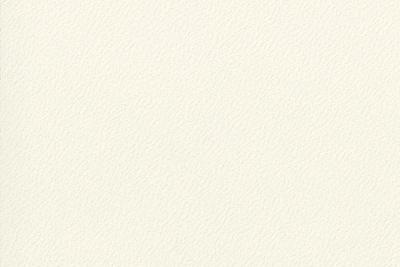 Swiss Krono Verbundplatte Span P2 beidseitig belegt 0.8mm PG2 - U566 SM White (25/Pal.)