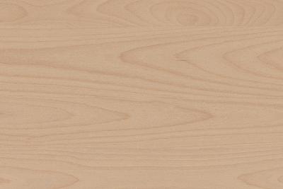 Kaindl furnierte Platten Charismo Buche gedämpft S/SB Struktur (Span-Träger) (24/Pal.)