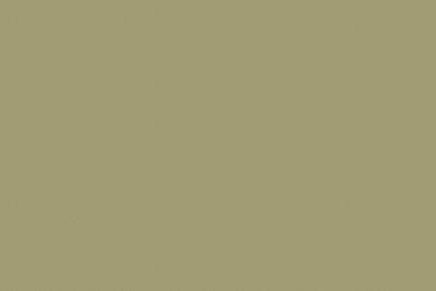 Swiss Krono ABS Kanten 0,8/23mm U4439 VL Pistachio Green Rolle a 150 m1