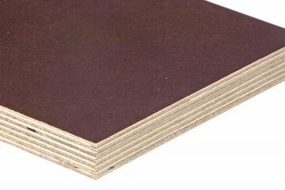 Sperracolor Birke DUNKELBRAUN 9mm 2-seitig Phenolharzfilm glatt BFU100 (65/Pal.)
