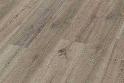 MeisterDesign Laminat LC 55 S Silence Multiclic Grey Oak 6671 1-Stab Paket a 2,550 m2 (36/Pal.)