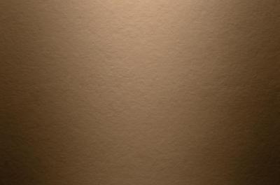 Hardie Panel Smooth (Glatt) Kastanienbraun (25/Pal.)