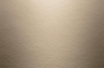 Hardie Panel Smooth (Glatt) Khakibraun (25/Pal.)