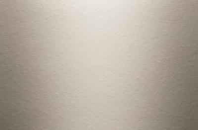 Hardie Plank Smooth (Glatt) Kieselgrau (84/Pal.)