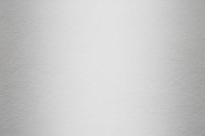 Hardie Panel Smooth (Glatt) Schneeweiss (25/Pal.)