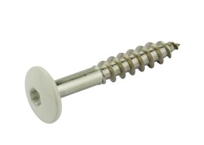 Fassadenschrauben INOX 4.8 x 30 mm, Kopflackierung weiss P111 (100 Stk./Pa)