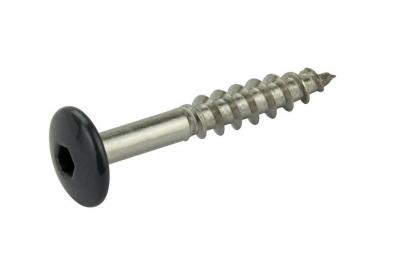 Fassadenschrauben INOX 4.8 x 30 mm, Kopflackierung braun TR914 (100 Stk./Pa)