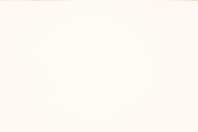 Fenix Verbundpl. belegt Supermatt MDF light-Platte 17mm beids. dekorgleich NTM 0029 - Bianco Malé