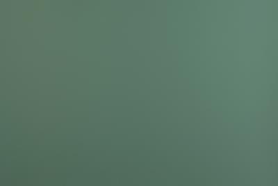 Fenix Verbundplatte belegt Supermatt MDF light-Platte beids. dekorgleich NTM BLOOM 0773 - Verde Brac