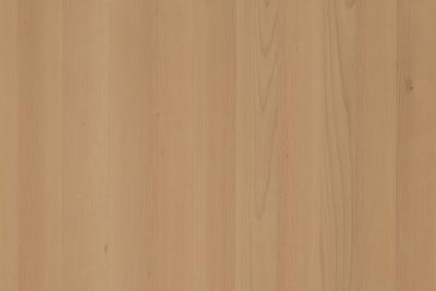 Furnier Express Fixmasse Buche 0.9 mm A-Qualität geschliffen, Rückseite Vlies