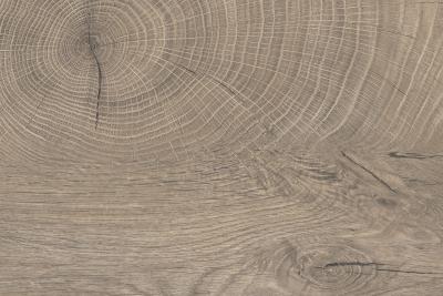 Kaindl ABS Kanten Holz 23mm passend zu K5412 RO Eiche ENDgrain Raw Rolle a 100 m1