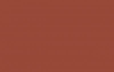 Fenix Verbundpl. belegt Supermatt MDF light-Platte 17mm beids. dekorgleich NTM BLOOM 0789 - Rosso Namib