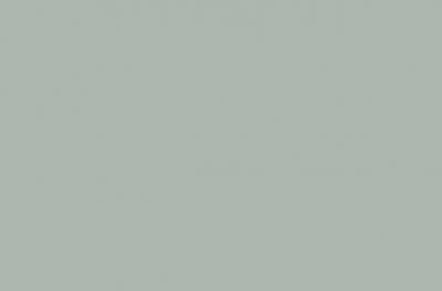 Fenix Verbundpl. belegt Supermatt MDF light-Platte 17mm beids. dekorgleich NTM BLOOM 0794 - Verde Kitami