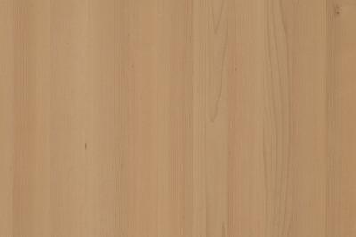 Furnier Express Fixmasse Buche 0.9mm A-Qualität geschliffen