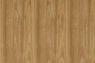 Furnier Express Fixmass Eucalyptus Gegenzug Stärke 0.9mm, Rückseite Vlies