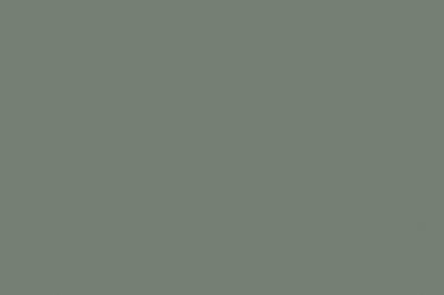 Egger Lackplatte Perfectsense Matt Span Träger E1E05 U604 TM/ST7 Eukalyptusgrün (24/Pal.)