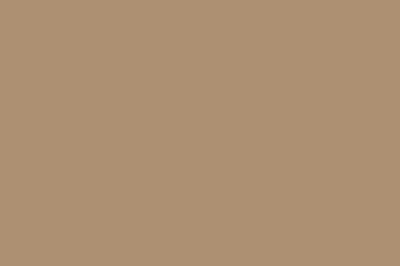 Egger Lackplatte Perfectsense Matt Span Träger E1E05 U250 TM/ST7 Caramelbeige (24/Pal.)